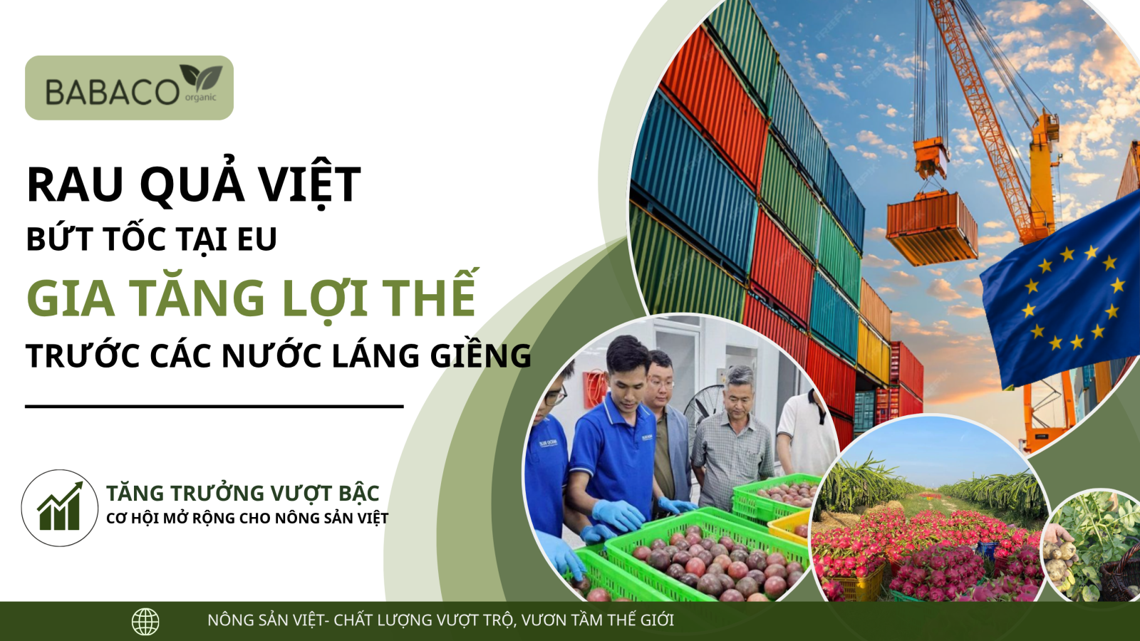 Ảnh chính Rau quả Việt Nam bứt tốc tại EU, gia tăng lợi thế cạnh tranh trước các nước láng giềng